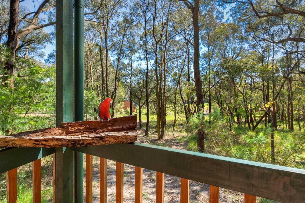 Cockatoo Cottages Экстерьер фото